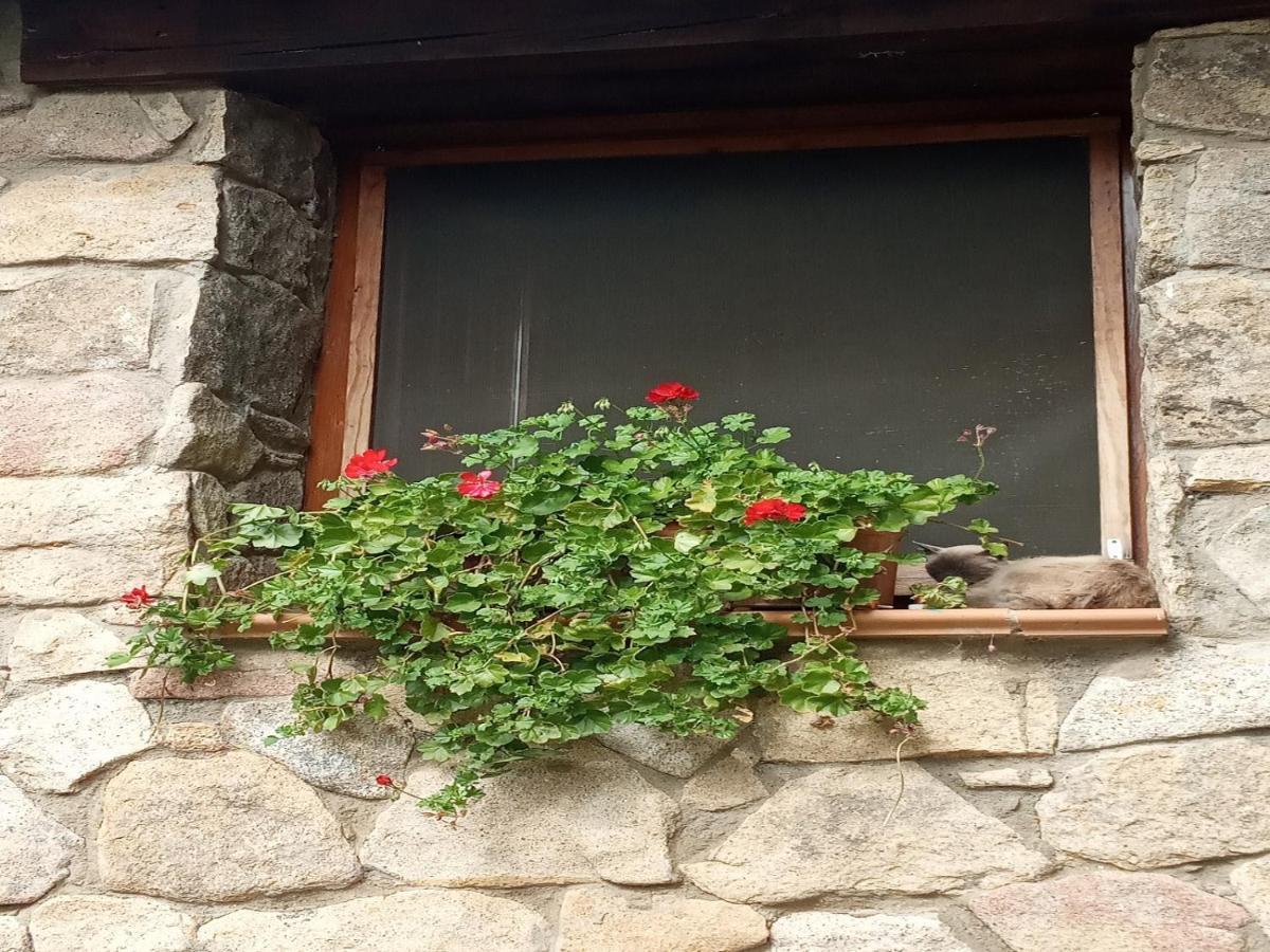 Naturaleza, Confort Y Vistas Inigualable En Casa Rural La Cumbre Gata Exterior photo