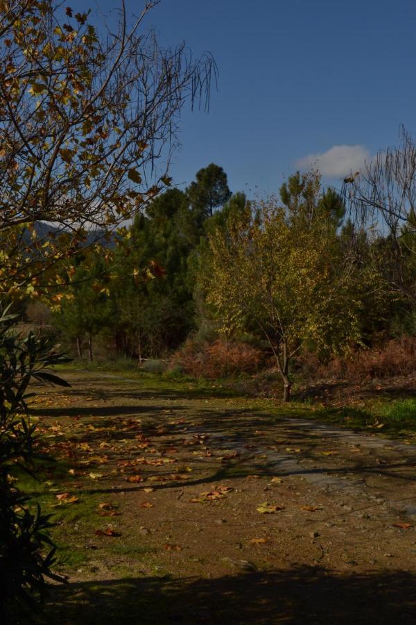 Naturaleza, Confort Y Vistas Inigualable En Casa Rural La Cumbre Gata Exterior photo